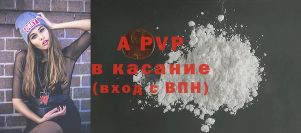 сатива Белокуриха