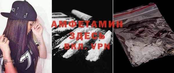 сатива Белокуриха