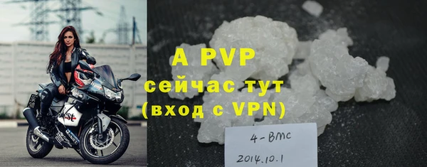 сатива Белокуриха