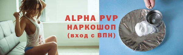 сатива Белокуриха