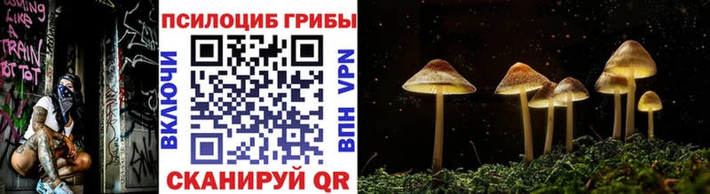 дарнет шоп  blacksprut рабочий сайт  Псилоцибиновые грибы Psilocybe  Троицк 